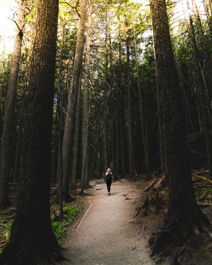 Taking a walk in nature can help you regulate your emotions.